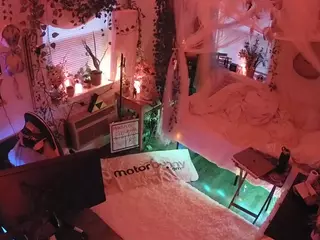 voyeurcam veccasalt 01's Live Sex Cam Show