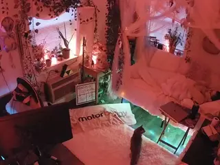 voyeurcam veccasalt 01's Live Sex Cam Show