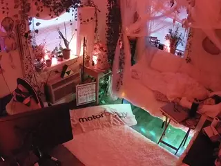 voyeurcam veccasalt 01's Live Sex Cam Show