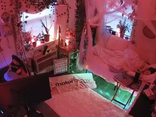 voyeurcam veccasalt 01's Live Sex Cam Show