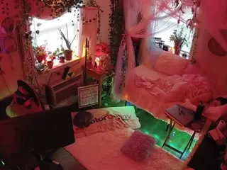 voyeurcam veccasalt 01's Live Sex Cam Show