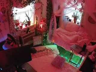 voyeurcam veccasalt 01's Live Sex Cam Show