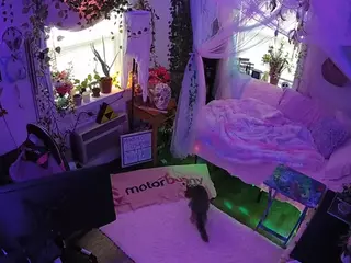voyeurcam veccasalt 01's Live Sex Cam Show