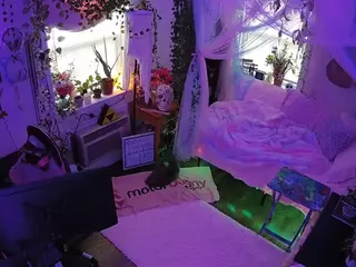 voyeurcam veccasalt 01's Live Sex Cam Show