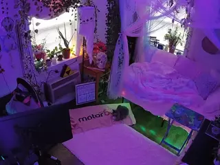 voyeurcam veccasalt 01's Live Sex Cam Show