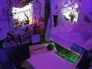 voyeurcam veccasalt 01's Live Sex Cam Show