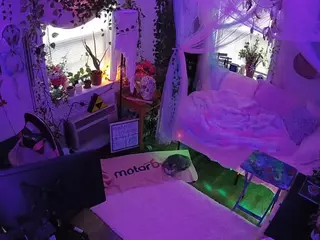 voyeurcam veccasalt 01's Live Sex Cam Show