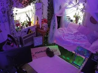 voyeurcam veccasalt 01's Live Sex Cam Show