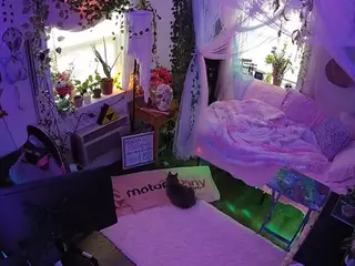 voyeurcam veccasalt 01's Live Sex Cam Show