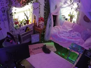 voyeurcam veccasalt 01's Live Sex Cam Show