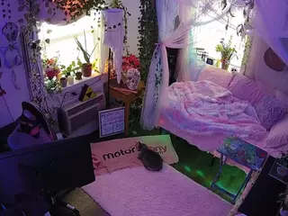 voyeurcam veccasalt 01's Live Sex Cam Show