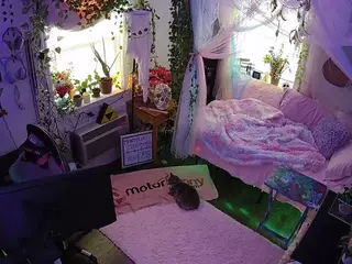 voyeurcam veccasalt 01's Live Sex Cam Show