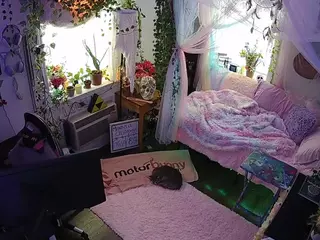 voyeurcam veccasalt 01's Live Sex Cam Show