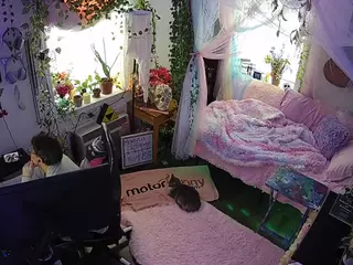 voyeurcam veccasalt 01's Live Sex Cam Show