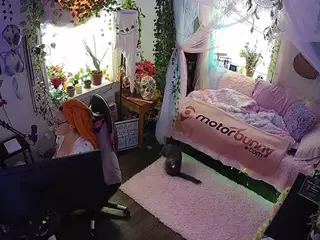 voyeurcam veccasalt 01's Live Sex Cam Show