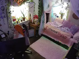 voyeurcam veccasalt 01's Live Sex Cam Show