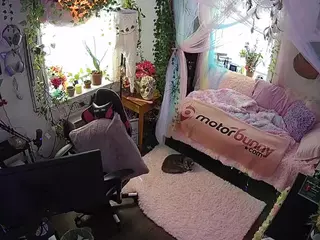 voyeurcam veccasalt 01's Live Sex Cam Show