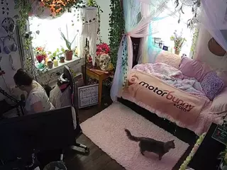 voyeurcam veccasalt 01's Live Sex Cam Show