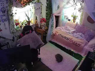 voyeurcam veccasalt 01's Live Sex Cam Show