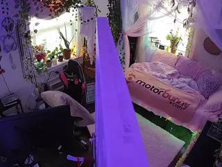 voyeurcam veccasalt 01's Live Sex Cam Show