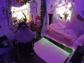 voyeurcam veccasalt 01's Live Sex Cam Show