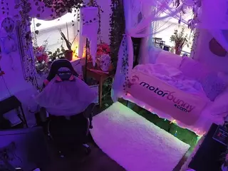 voyeurcam veccasalt 01's Live Sex Cam Show