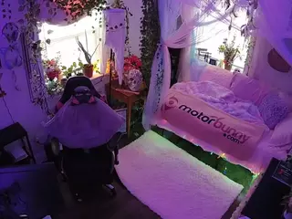 voyeurcam veccasalt 01's Live Sex Cam Show