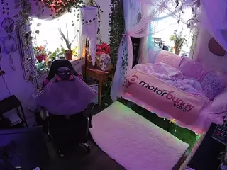 voyeurcam veccasalt 01's Live Sex Cam Show