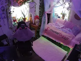 voyeurcam veccasalt 01's Live Sex Cam Show