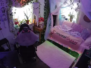 voyeurcam veccasalt 01's Live Sex Cam Show
