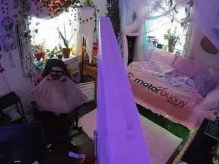 voyeurcam veccasalt 01's Live Sex Cam Show