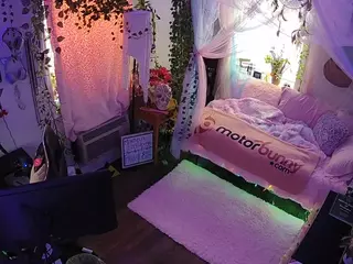 voyeurcam veccasalt 01's Live Sex Cam Show