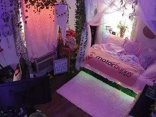 voyeurcam veccasalt 01's Live Sex Cam Show