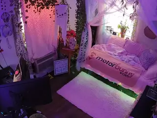 voyeurcam veccasalt 01's Live Sex Cam Show