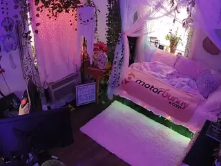 voyeurcam veccasalt 01's Live Sex Cam Show