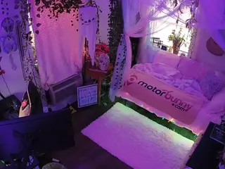 voyeurcam veccasalt 01's Live Sex Cam Show