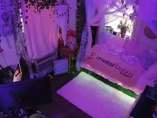voyeurcam veccasalt 01's Live Sex Cam Show