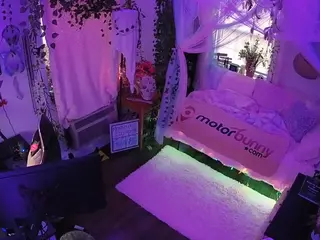 voyeurcam veccasalt 01's Live Sex Cam Show