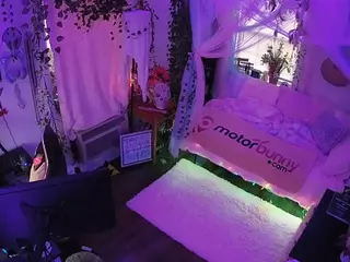 voyeurcam veccasalt 01's Live Sex Cam Show