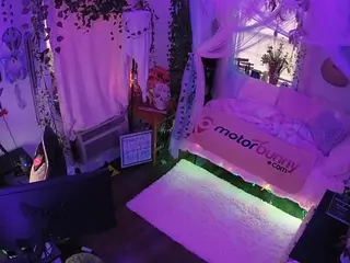 voyeurcam veccasalt 01's Live Sex Cam Show