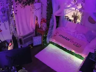 voyeurcam veccasalt 01's Live Sex Cam Show