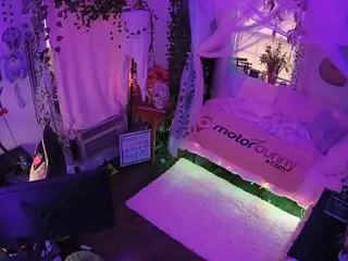 voyeurcam veccasalt 01's Live Sex Cam Show