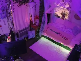 voyeurcam veccasalt 01's Live Sex Cam Show