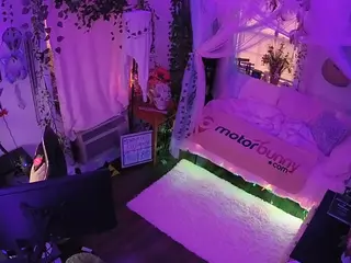 voyeurcam veccasalt 01's Live Sex Cam Show