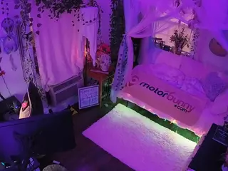 voyeurcam veccasalt 01's Live Sex Cam Show