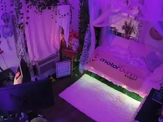 voyeurcam veccasalt 01's Live Sex Cam Show