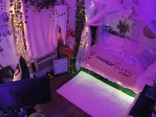 voyeurcam veccasalt 01's Live Sex Cam Show