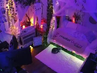 voyeurcam veccasalt 01's Live Sex Cam Show