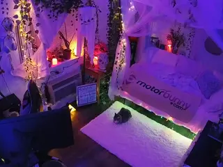 voyeurcam veccasalt 01's Live Sex Cam Show