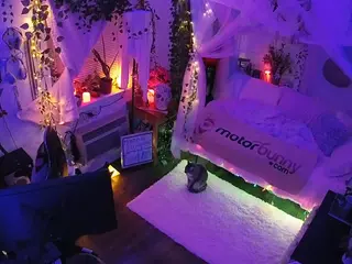 voyeurcam veccasalt 01's Live Sex Cam Show